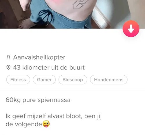 39 'Grappige' Tinder-Profielen En Bio'S Die Geen Goed Voorbeeld Geven |  Gratis Dating Tips